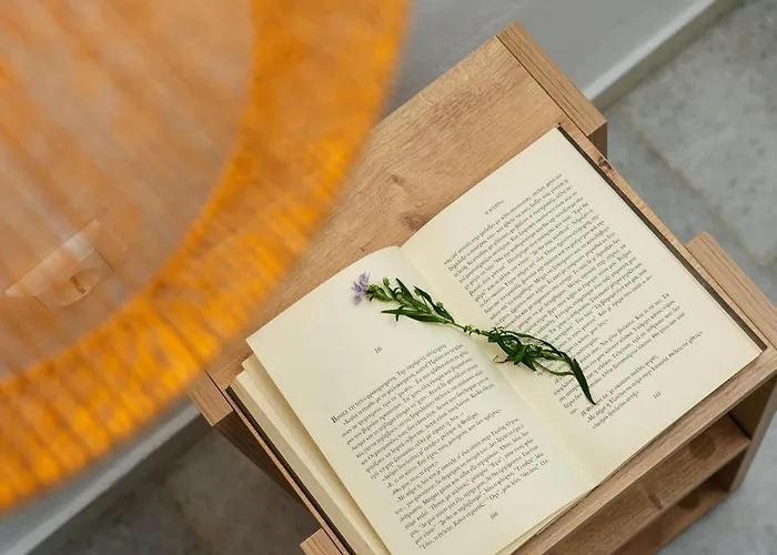 Celestial Seaview Apartments- Apollon 아파트 Naxos City