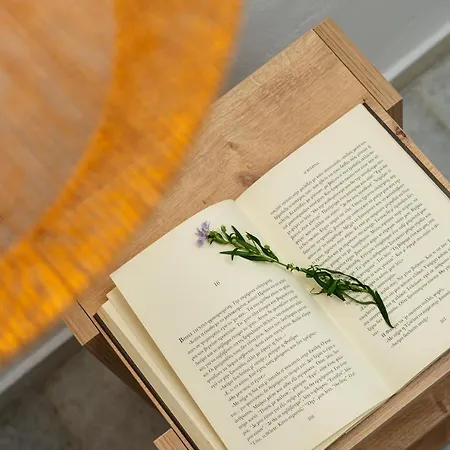 Celestial Seaview Apartments- Apollon Appartement Naxos City