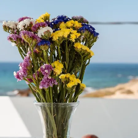 Celestial Seaview Apartments- Apollon * Naxos City